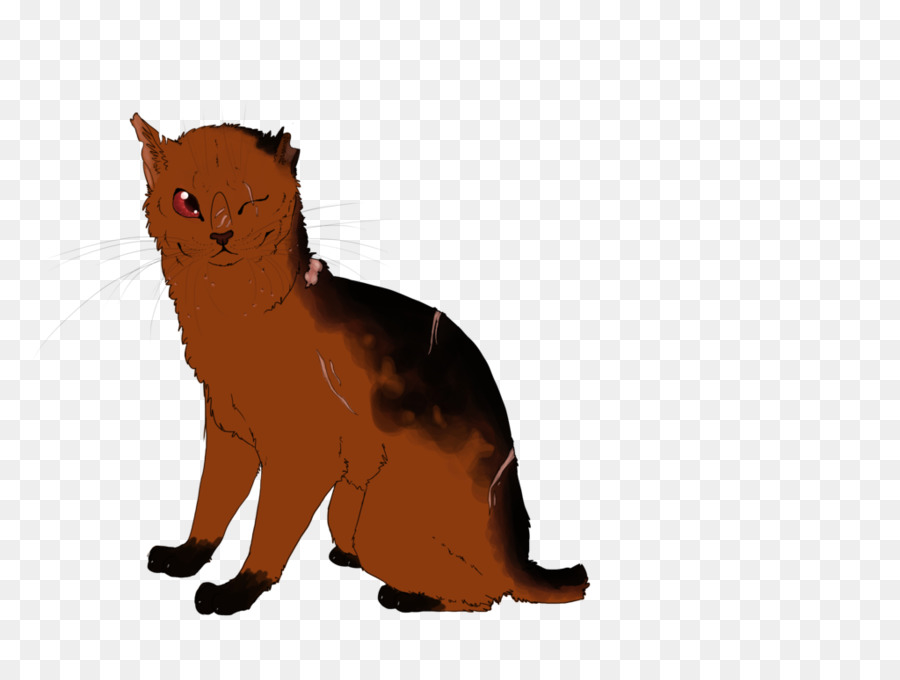 Chat，Animal De Compagnie PNG