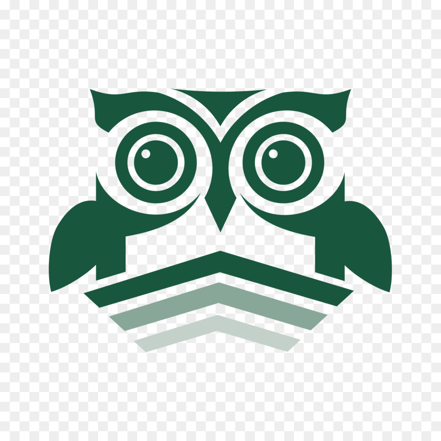 Chouette Verte，Hibou PNG