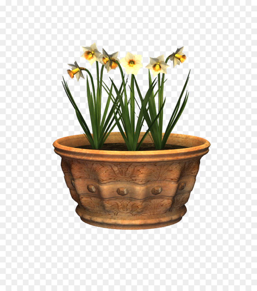 Pot De Fleur，Fleur PNG