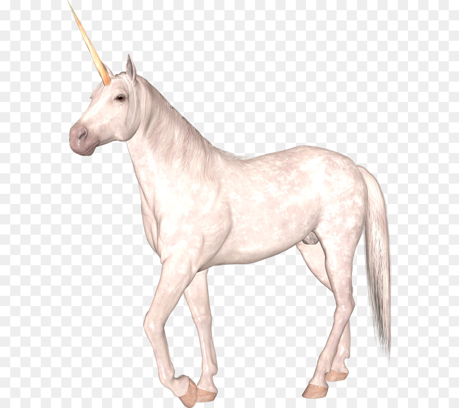 Licorne，Mythique PNG