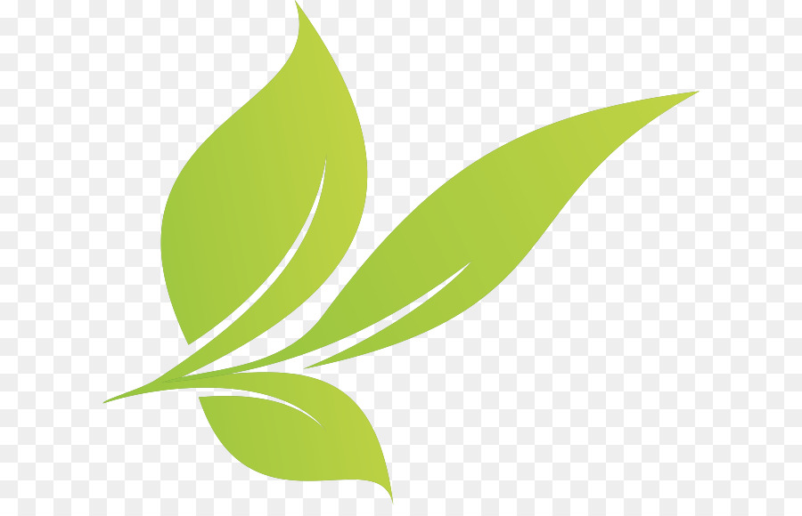 Feuilles Vertes，Usine PNG