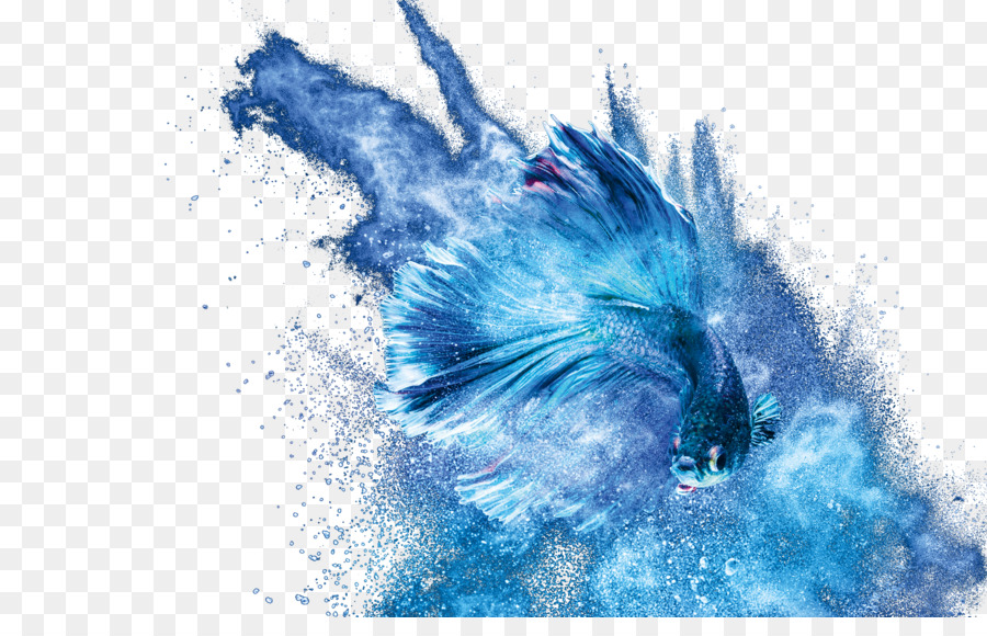 Poisson Bleu，Aquatique PNG