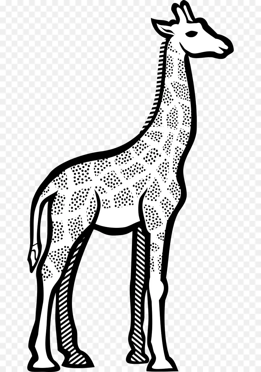 Girafe，Ligne D'art PNG