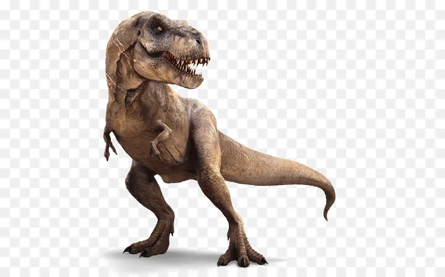 Velociraptor，Carnotaurus PNG