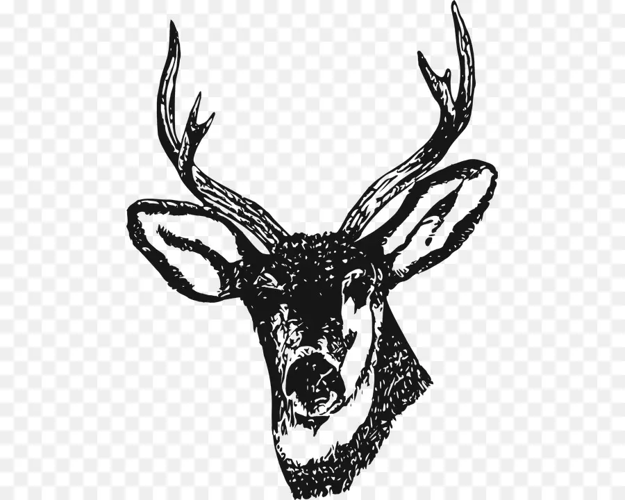 Cerf，Bois PNG