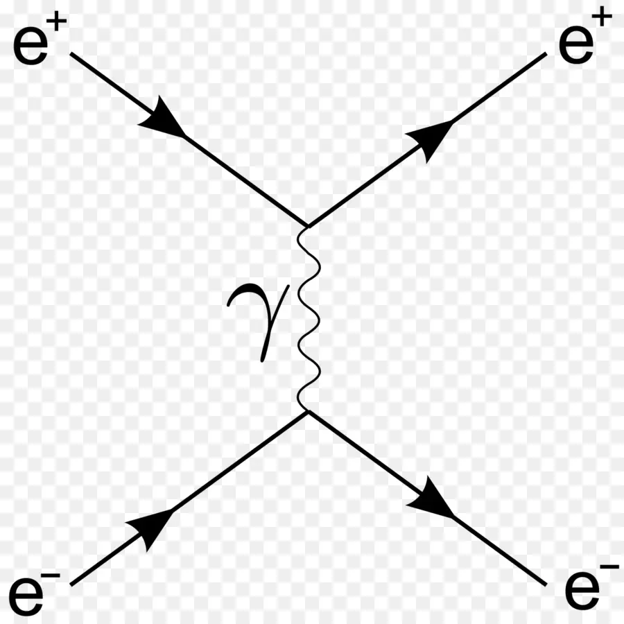 Diagramme De Feynman，Particule PNG