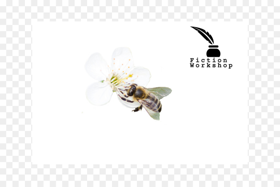 L Abeille à Miel，Abeille PNG