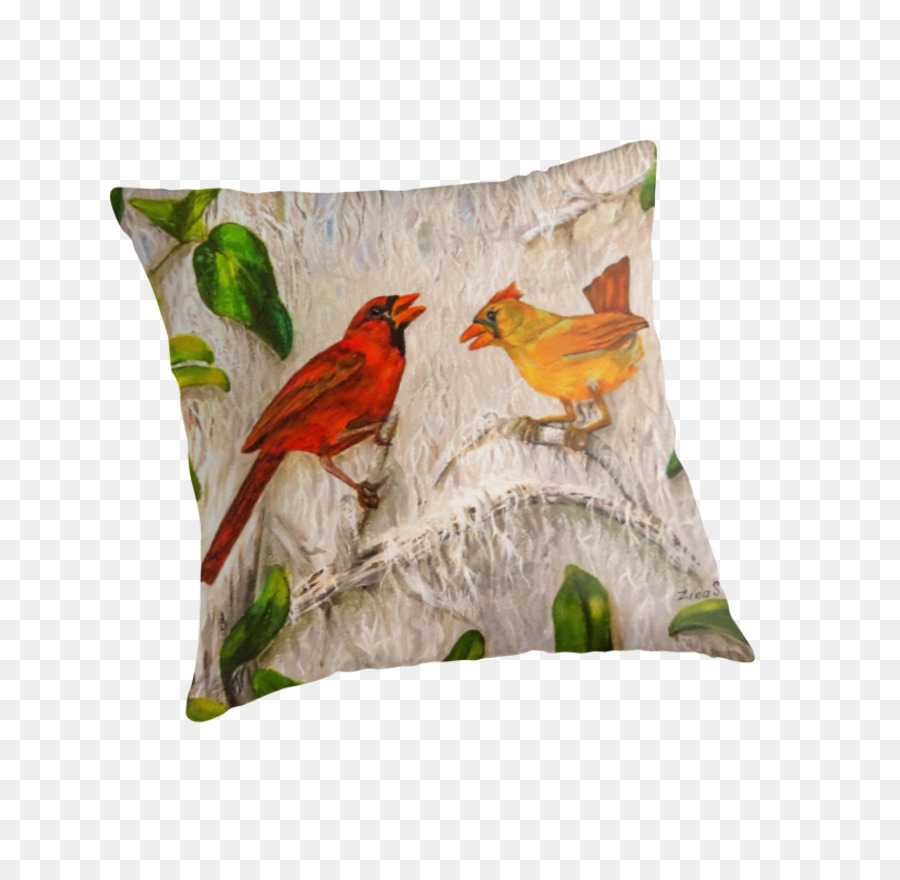 Les Coussins，Coussin PNG