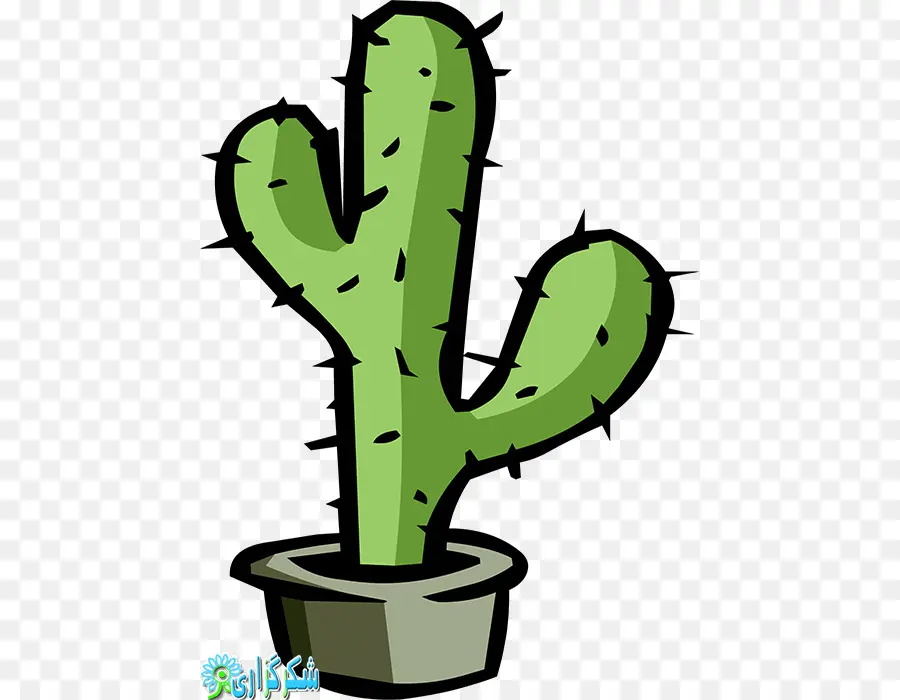 Cactus，Désert PNG