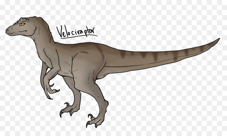 Velociraptor，Le Tyrannosaure PNG