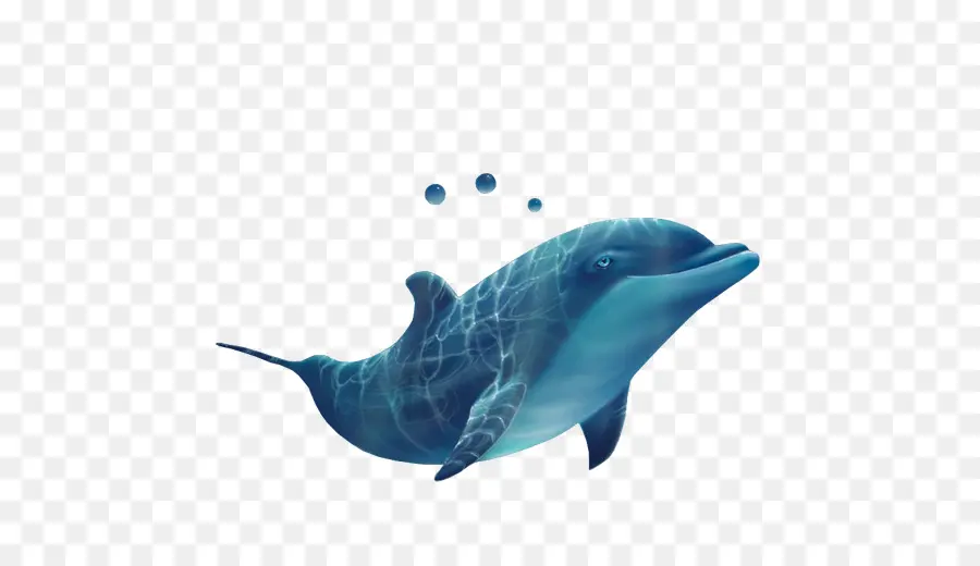 Dauphin，Bleu PNG