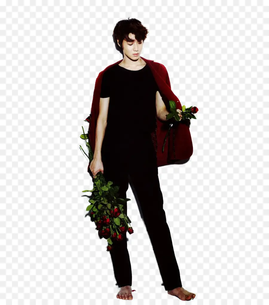 Homme Avec Des Roses，Roses PNG