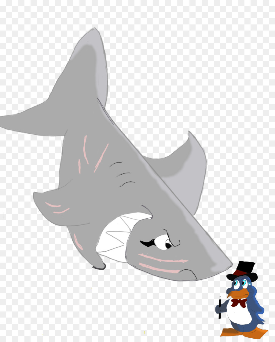 Chat，Requin PNG