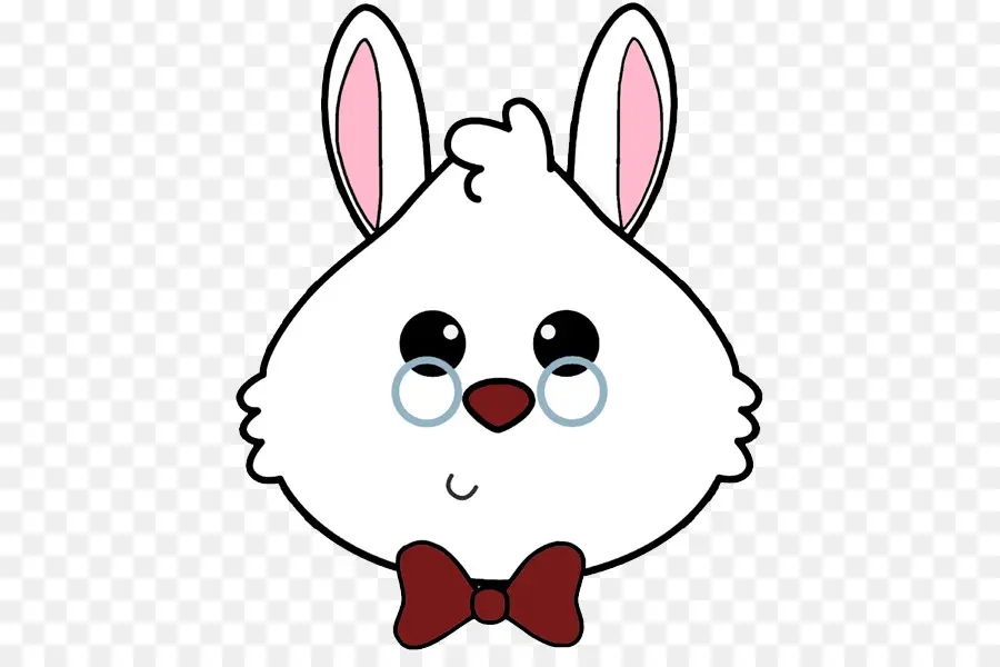 Lapin Blanc，Lunettes PNG