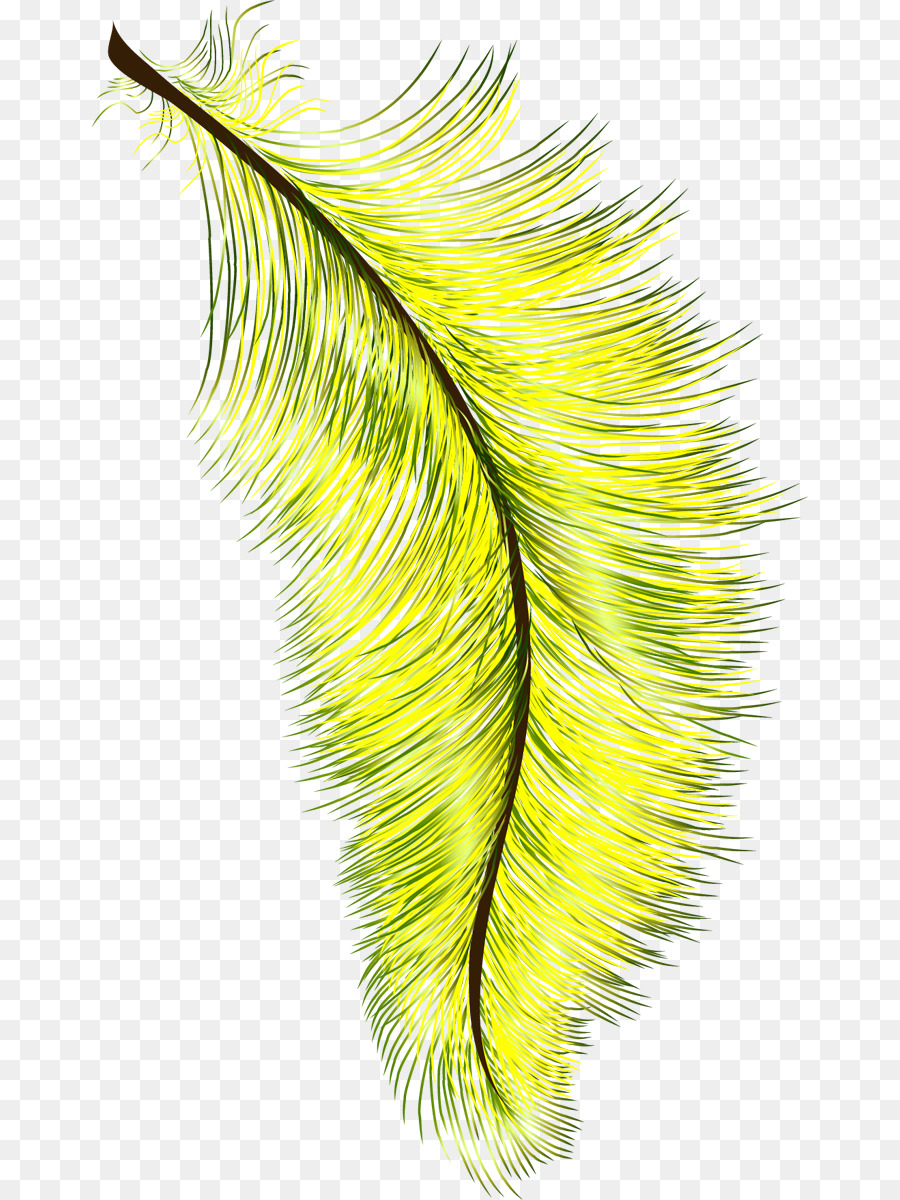 Plume Jaune，Jaune PNG