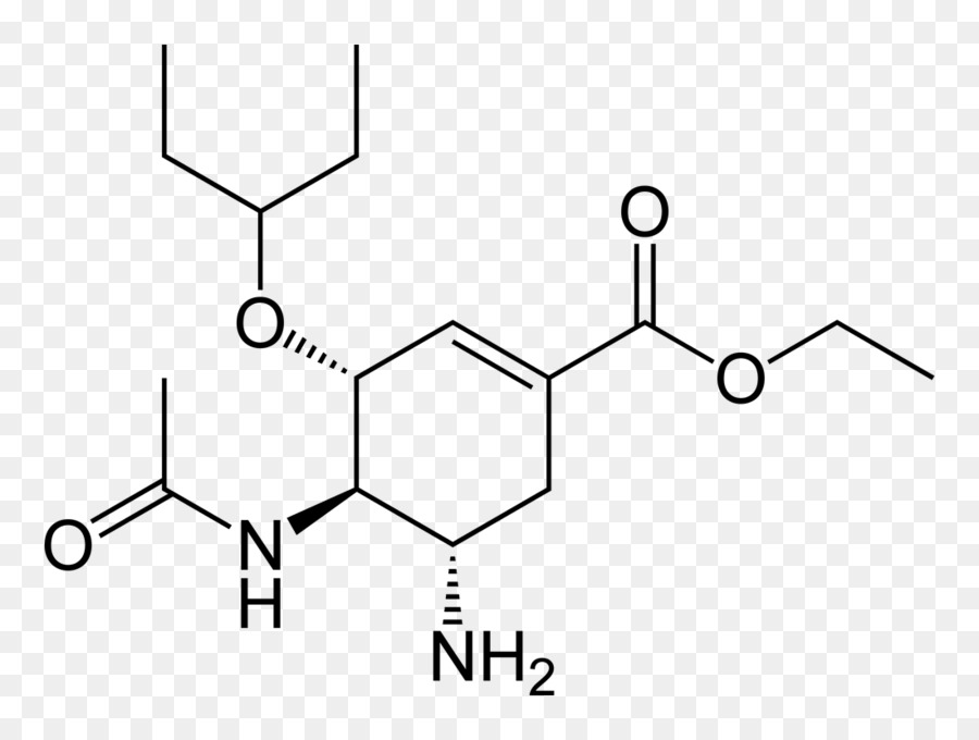 L Oseltamivir，Shikimic Acide PNG