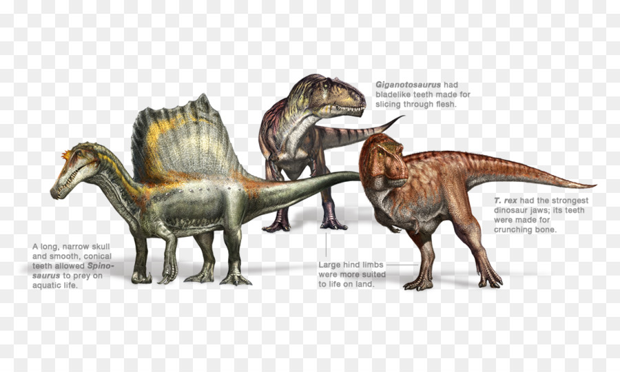 Dinosaures，Préhistorique PNG