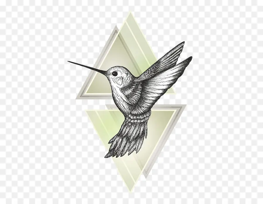 Colibri，Vol PNG