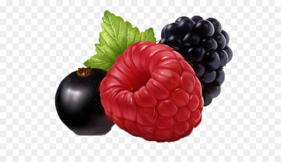 Berry，Raisin PNG