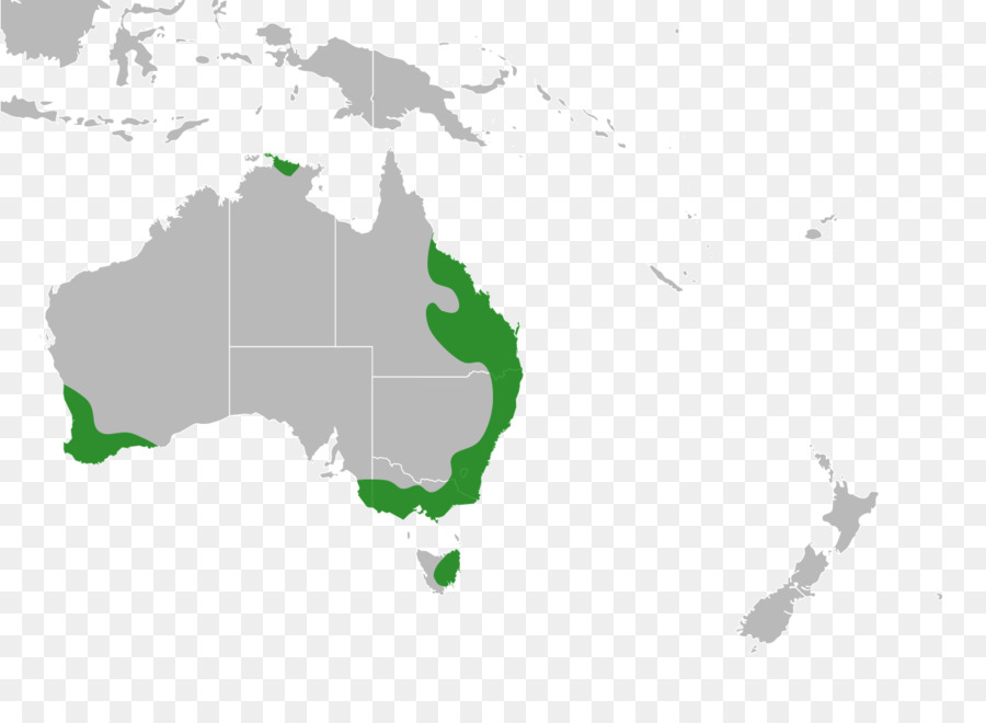 L Australie，L Indonésie PNG