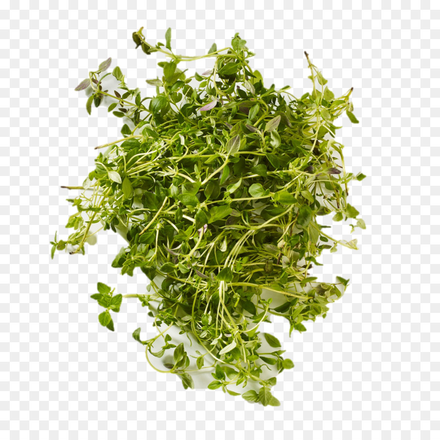 Feuilles Vertes，Légume PNG