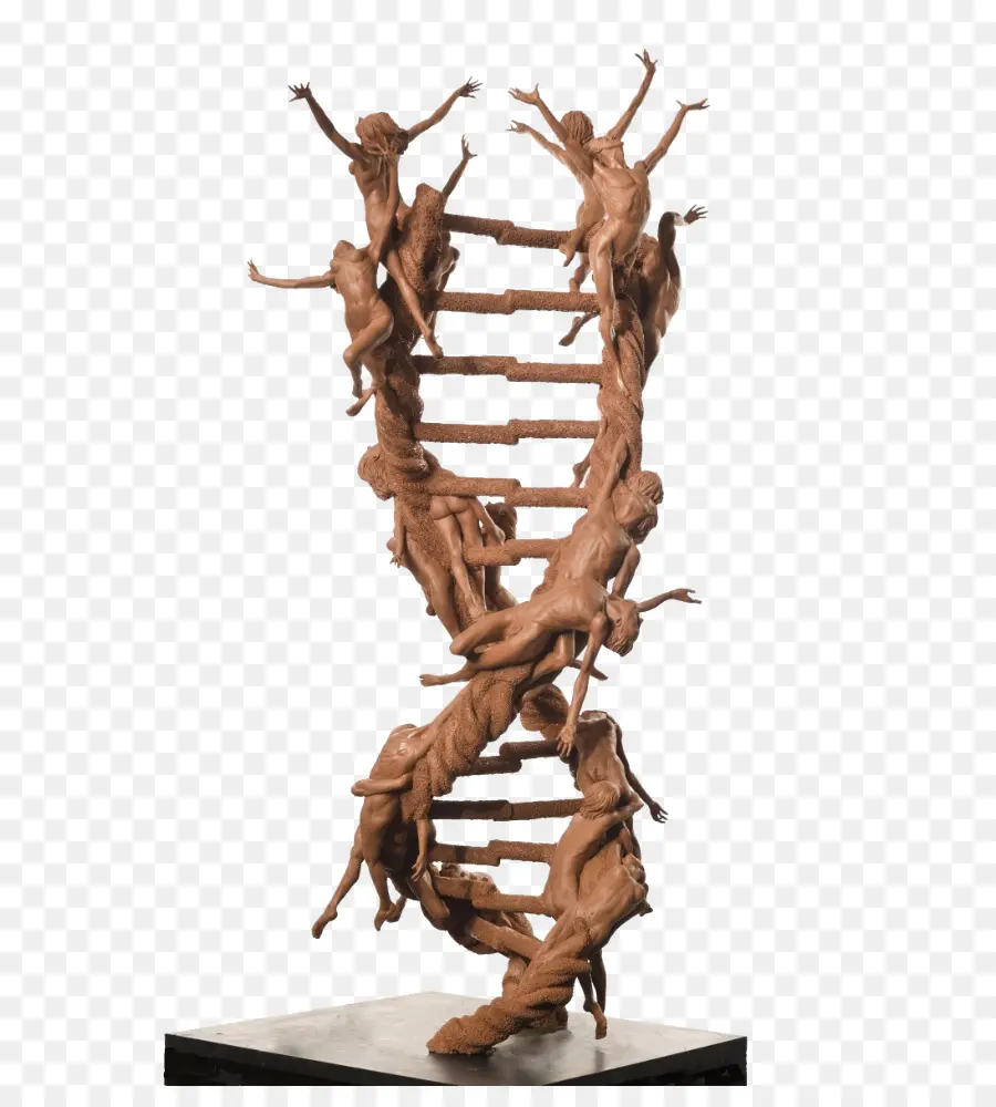 Sculpture D'adn Humain，Art PNG