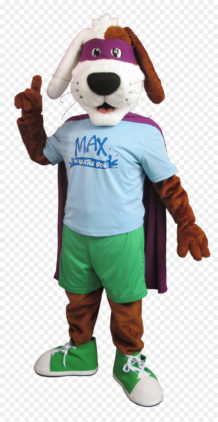 Costume，Chien PNG