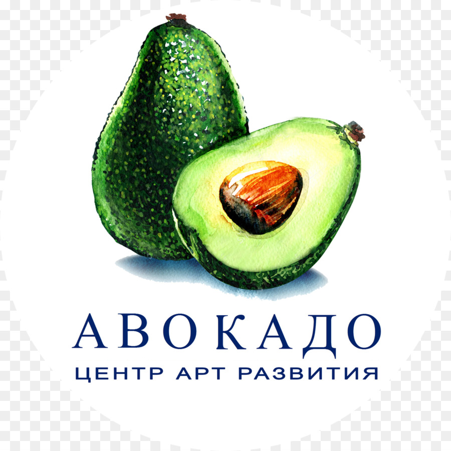 Avocat，Fruit PNG