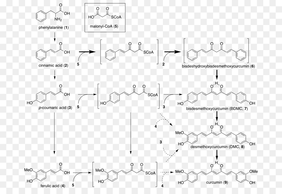 Diagramme Chimique，Chimie PNG