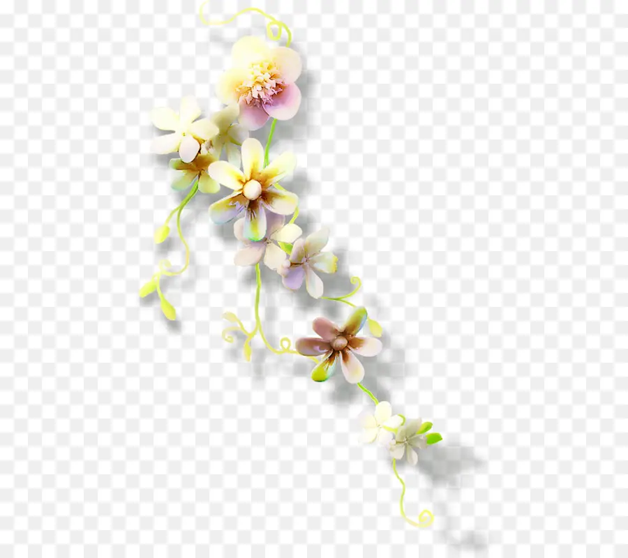 Fleurs，Fleurir PNG