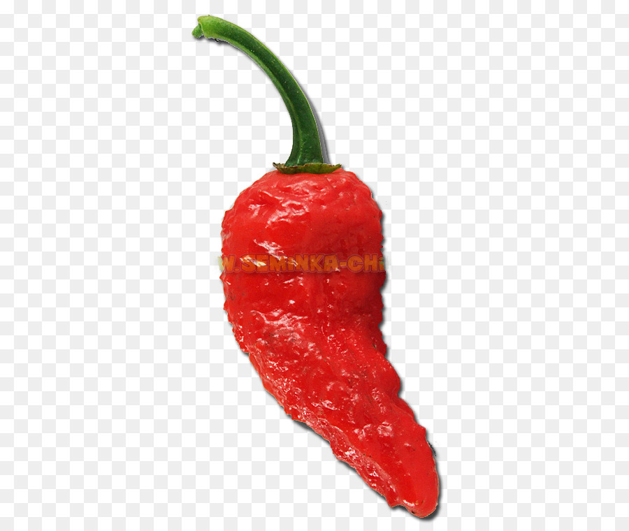 Piment Rouge，épicé PNG