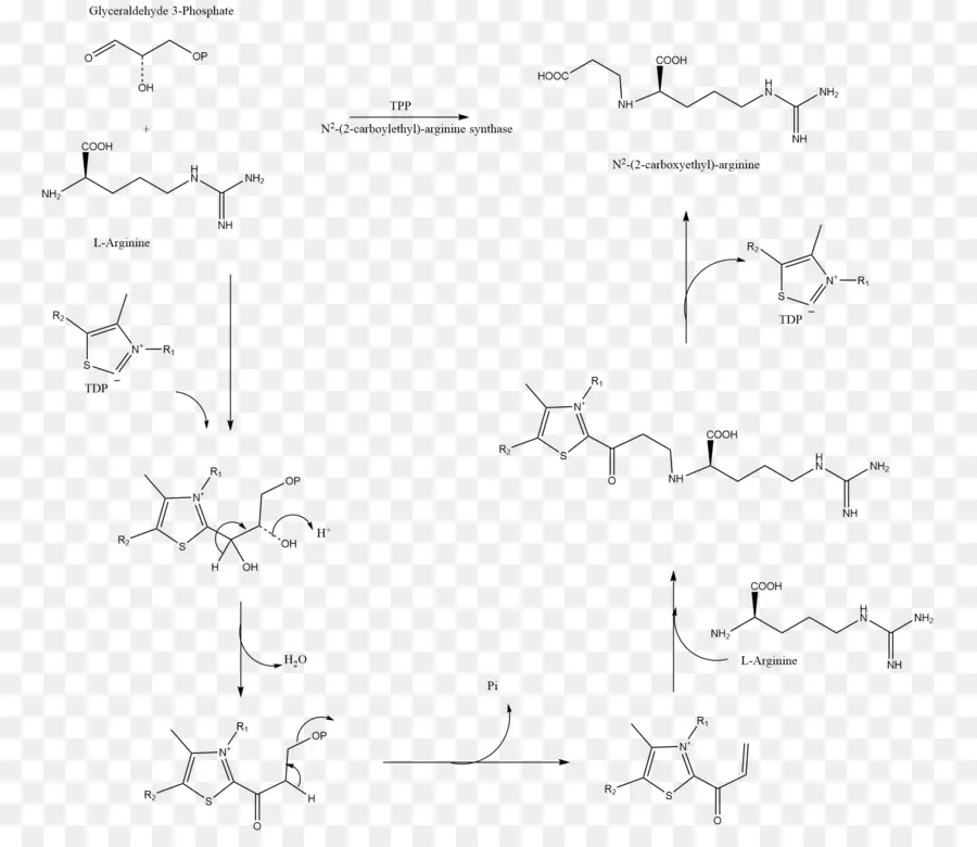 Structure Chimique，Molécule PNG