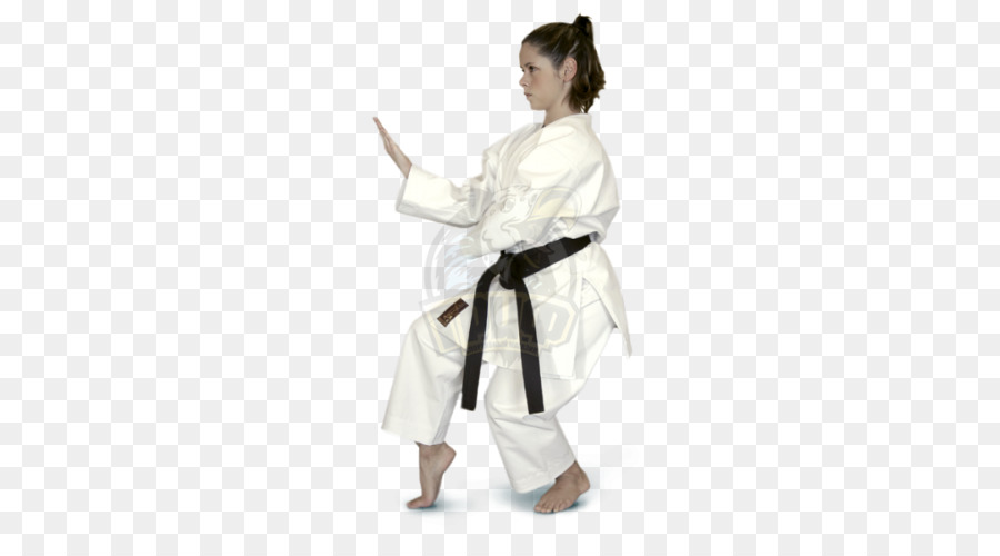 Karaté，Dobok PNG