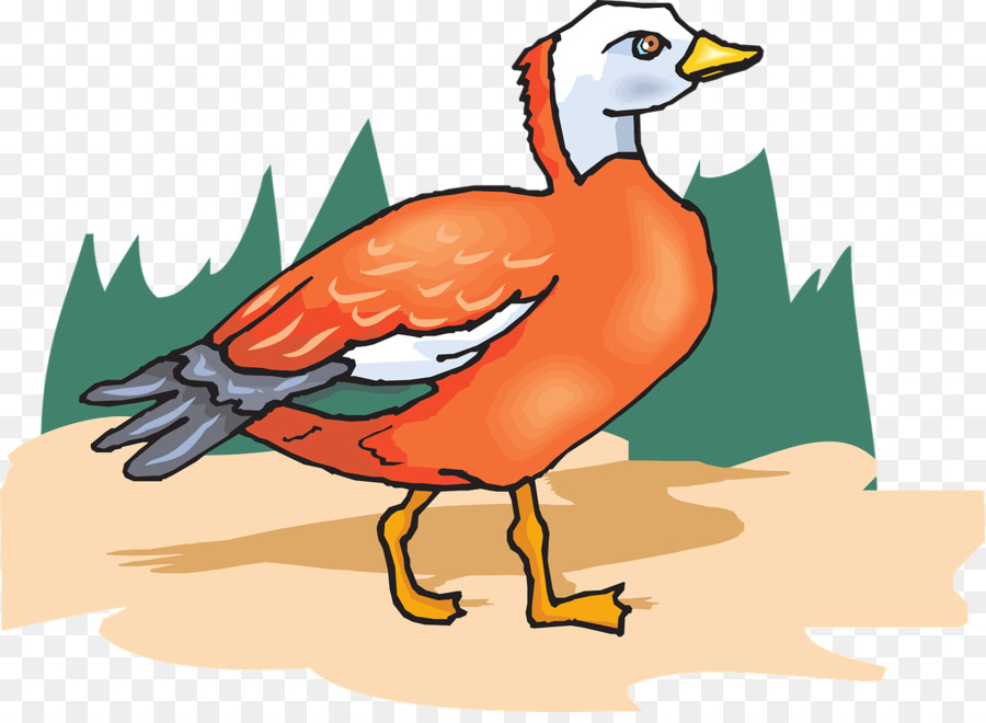 Canard，Oiseau PNG