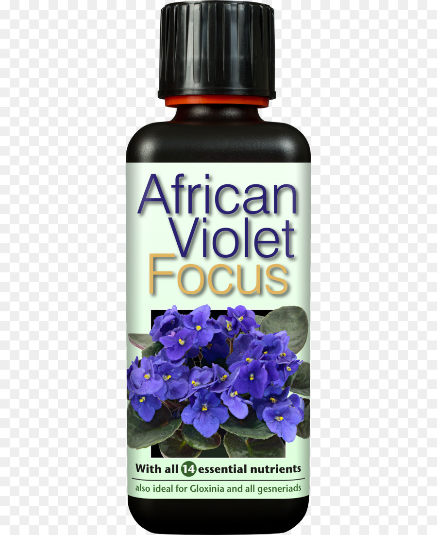 Nutritif，Violets Africains PNG