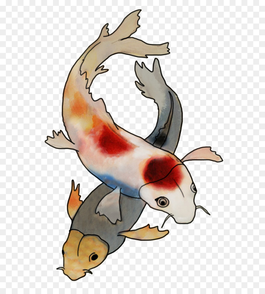 Poisson Koi，Poisson PNG