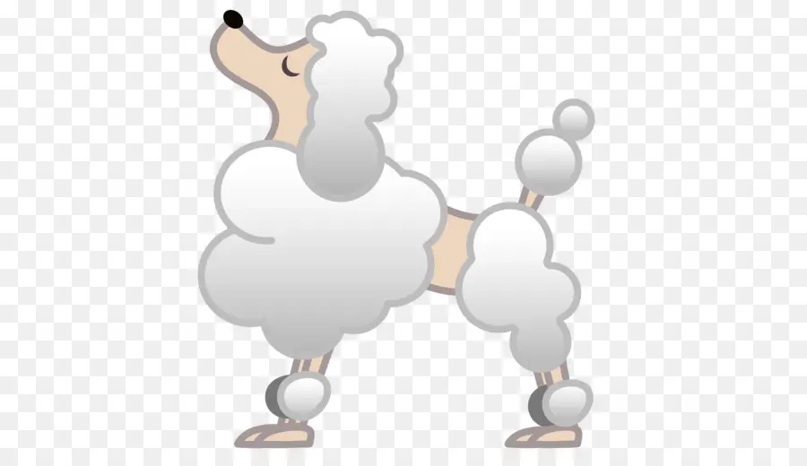 Caniche，Chien PNG