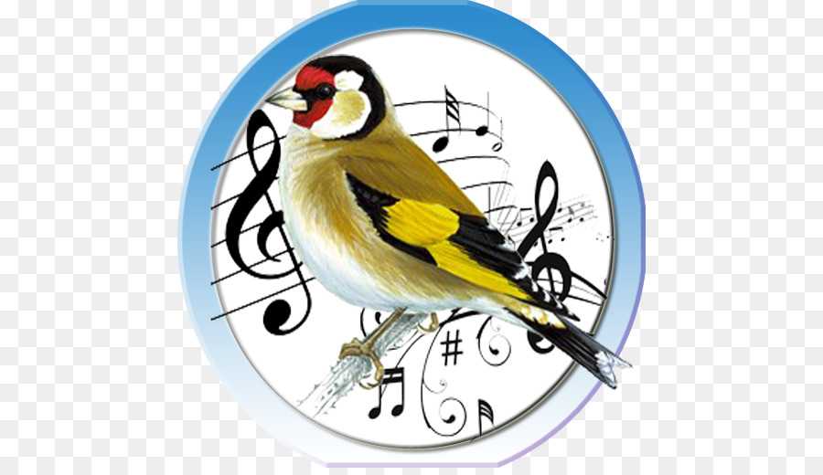 Oiseau，Notes De Musique PNG