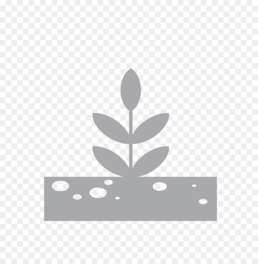 Logo，Plante PNG