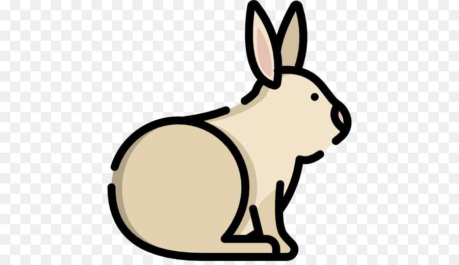 Visage De Lapin，Lapin PNG