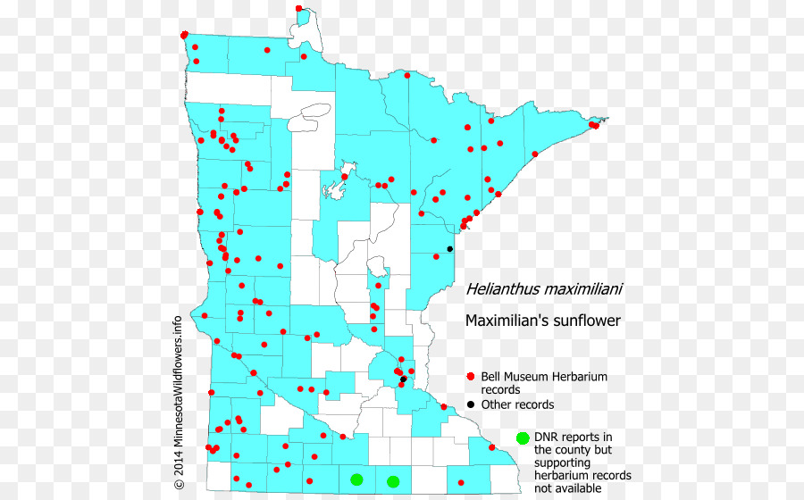 Minnesota，Repéré Joepye Mauvaises Herbes PNG