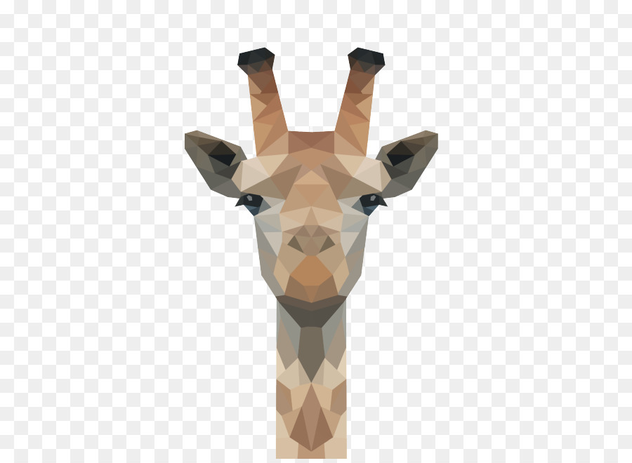 Tête D'antilope，Cornu PNG