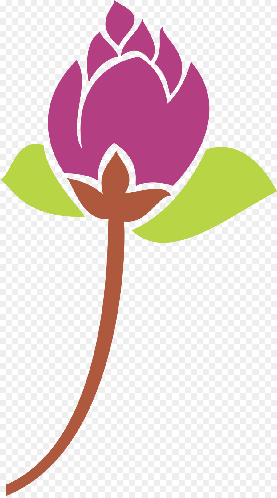 Rose，Floraison PNG