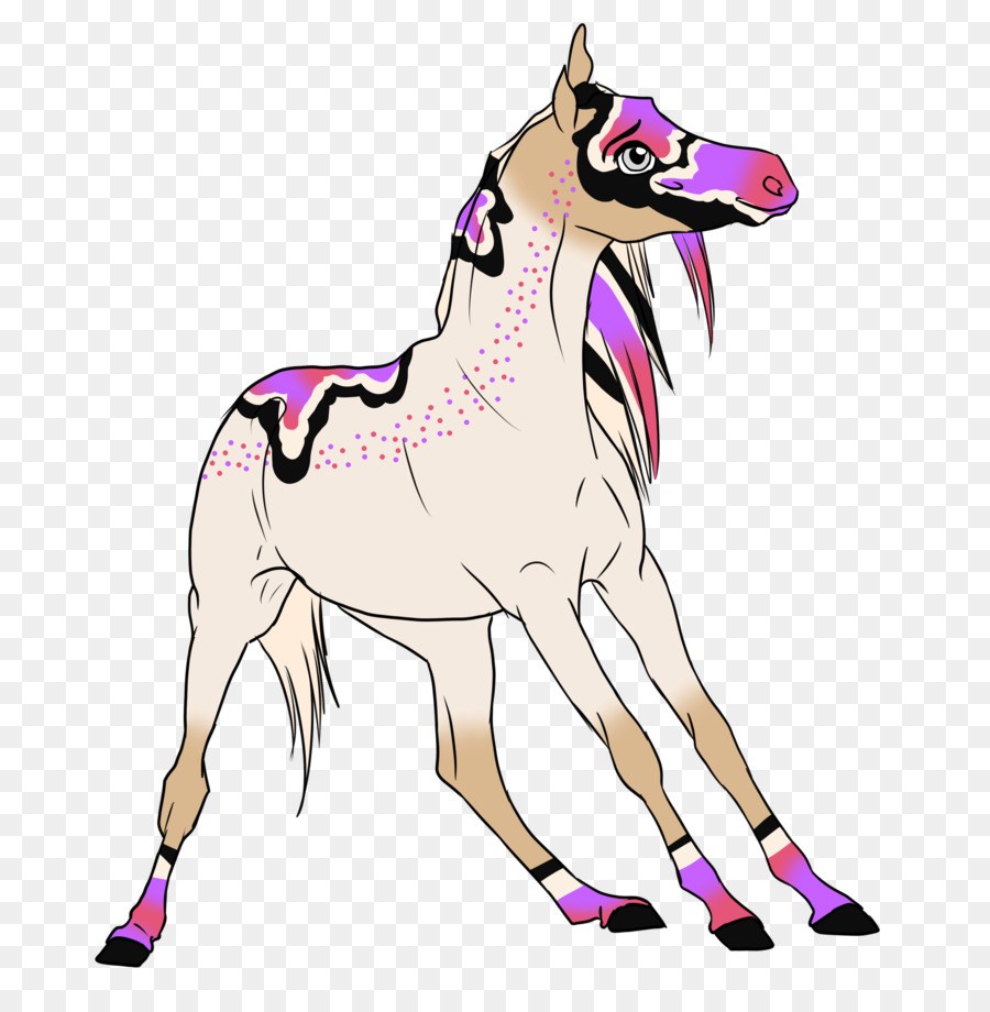 Mustang，Licou PNG