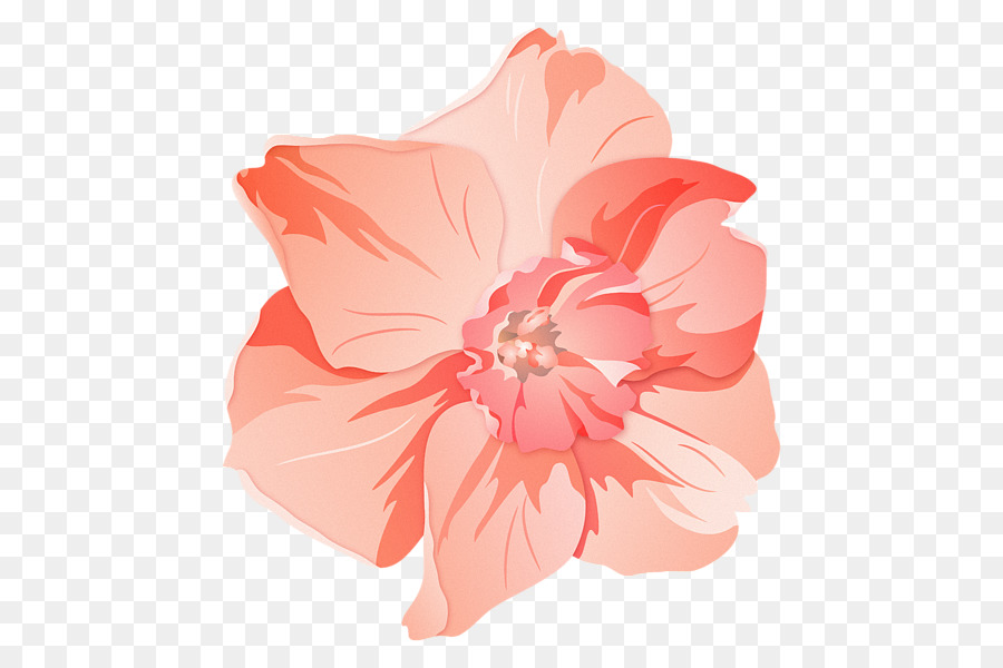 Hibiscus，Rose M PNG