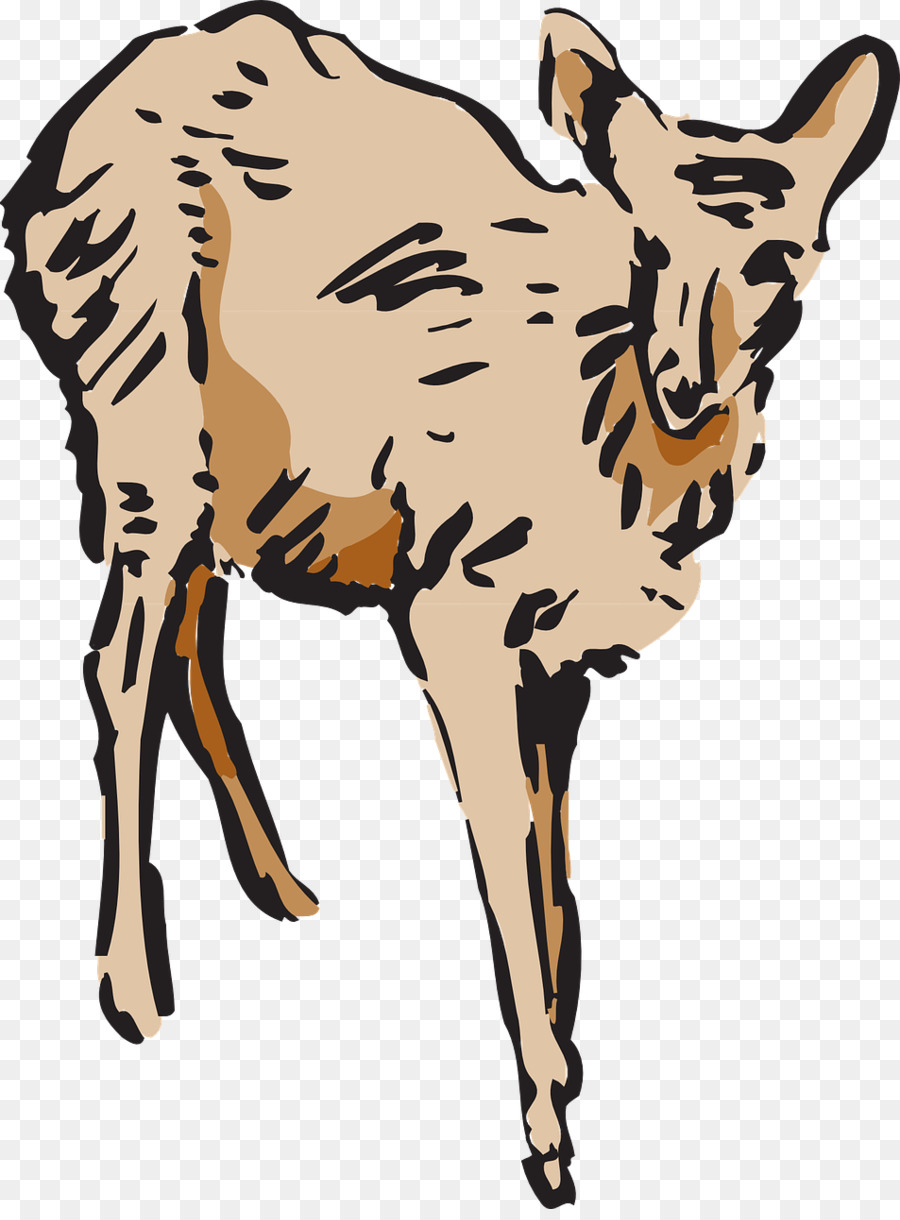 Cerf，Mammifères PNG