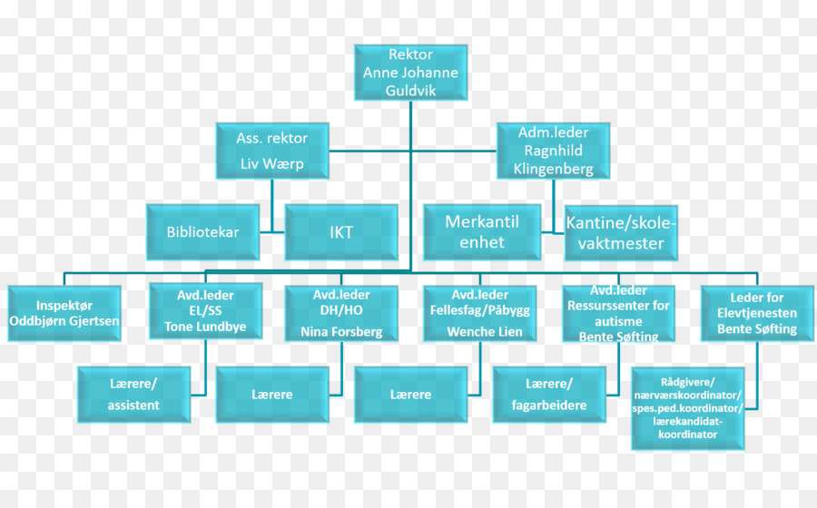 Organigramme，Structure PNG