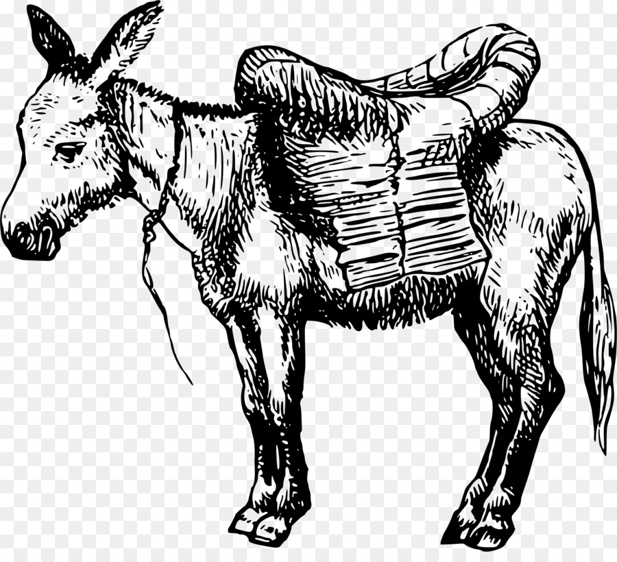 Tshirt，Mule PNG