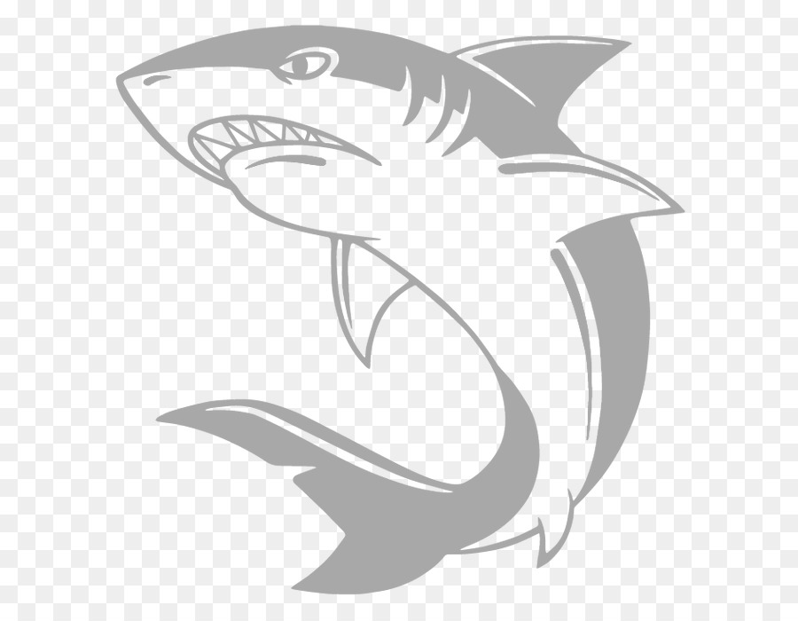 Requin Dessin Grand Requin Blanc Png Requin Dessin Grand Requin Blanc Transparentes Png Gratuit