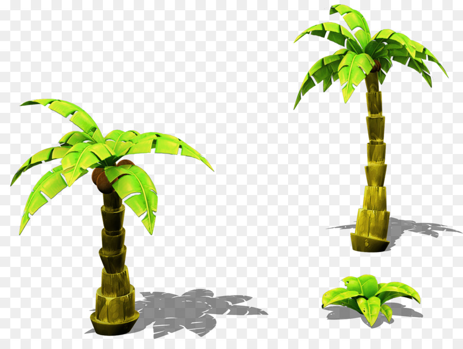 Arecaceae，Feuille PNG